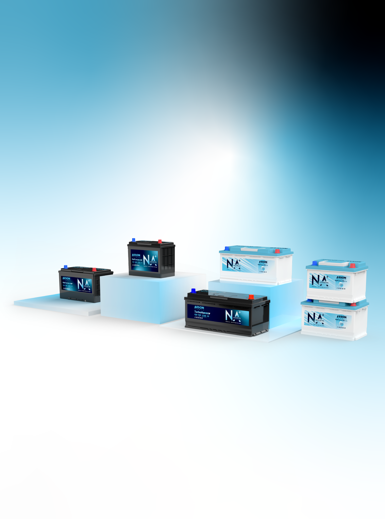 Starter Batteries