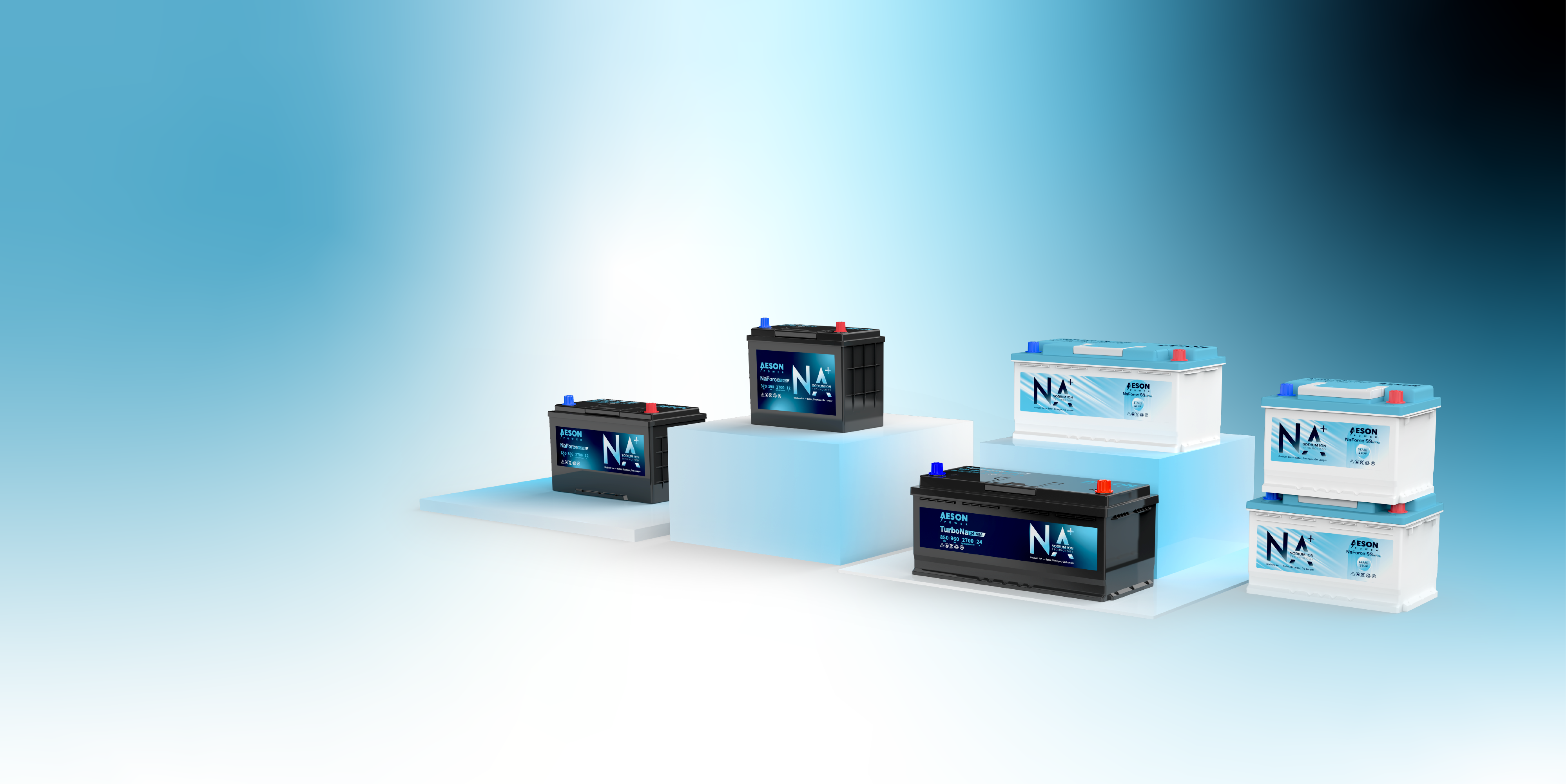 Starter Batteries