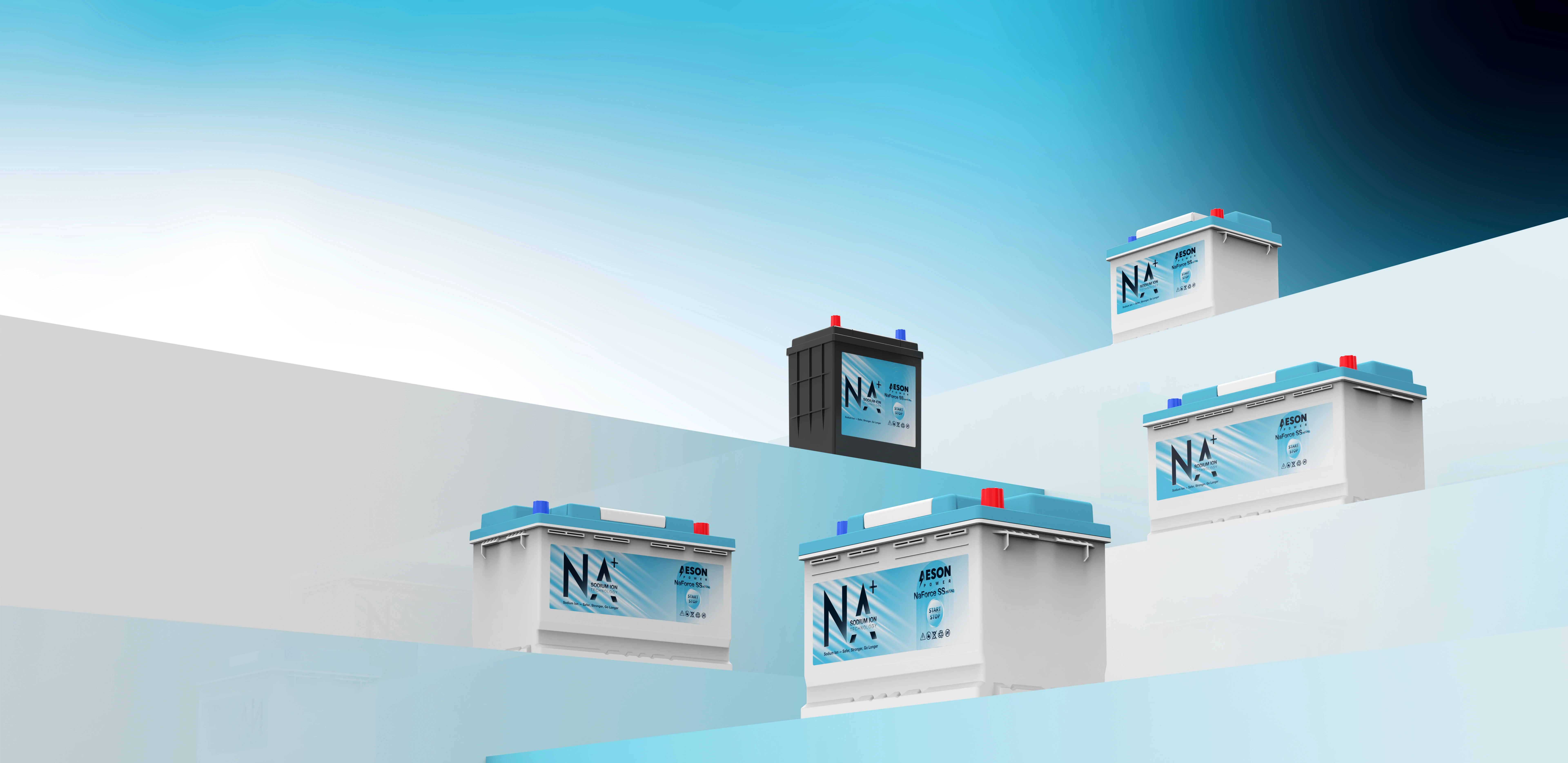 Starter Batteries