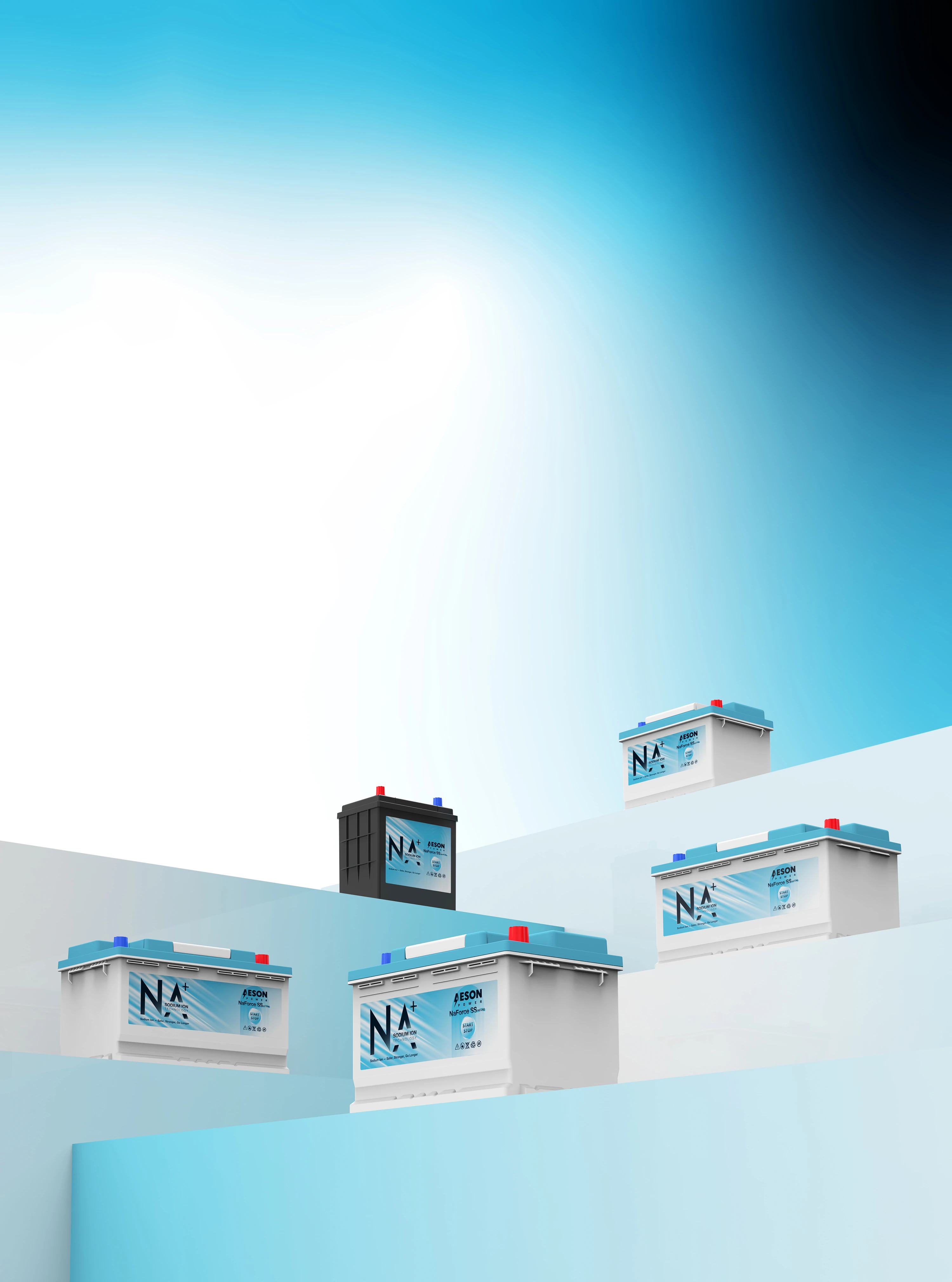 Starter Batteries